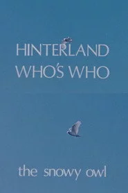Hinterland Who's Who: The Snowy Owl