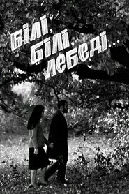 Білі, білі лебеді...