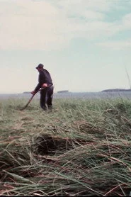 Farmer