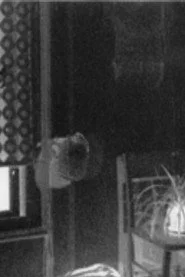 Pan Film