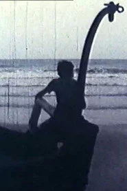 نهنگ