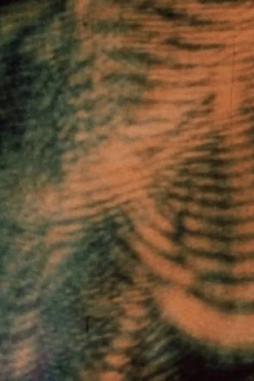 Laserimage