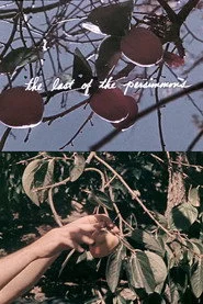 The Last of the Persimmons