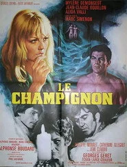 Le champignon