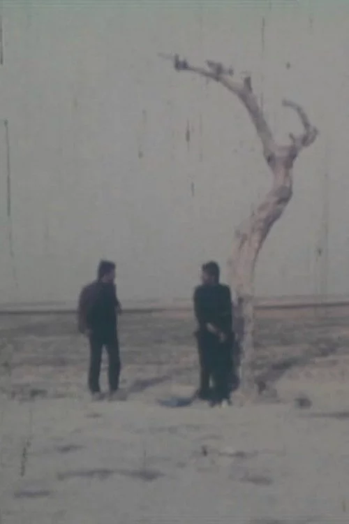 خیابان