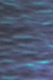 The Pacific Ocean