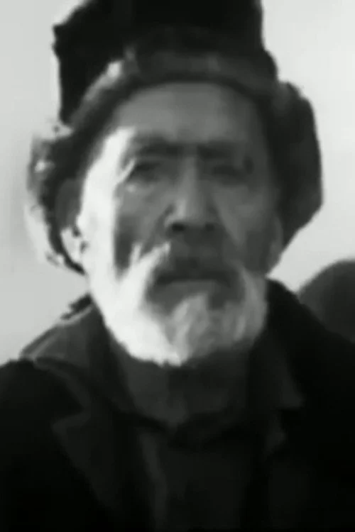 Нарынский дневник