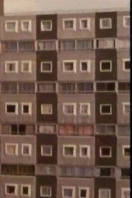 Where the Houses Used to Be