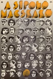 A Sípoló Macskakő