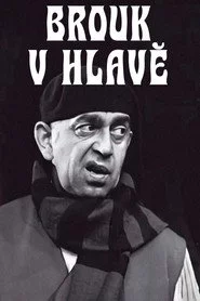 Brouk v hlavě