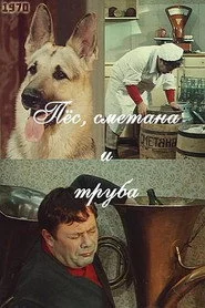 Пёс, сметана и труба