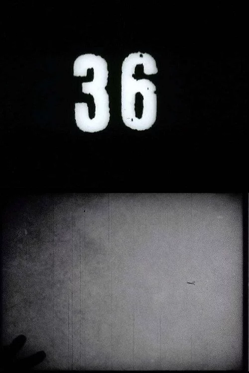 Fluxfilm No. 36