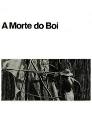 A Morte do Boi