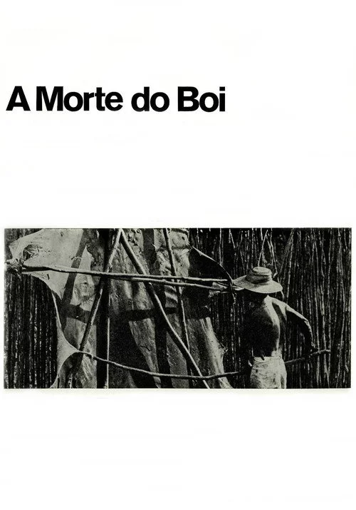 A Morte do Boi
