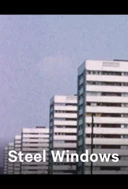 Steel Windows