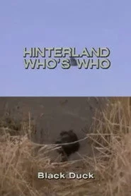 Hinterland Who's Who: Black Duck