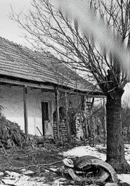 Bartók Béla: Az éjszaka zenéje