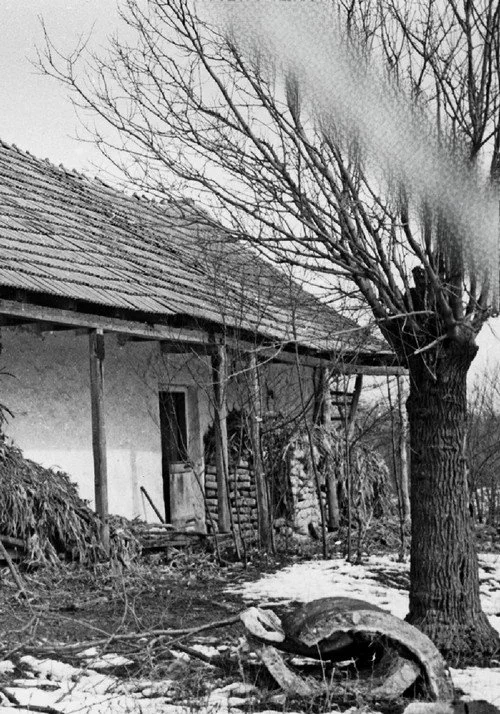 Bartók Béla: Az éjszaka zenéje