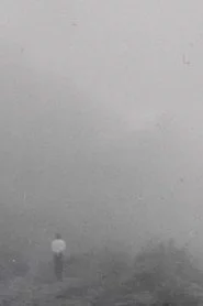 迷