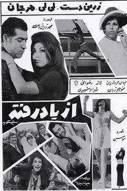 از یاد رفته