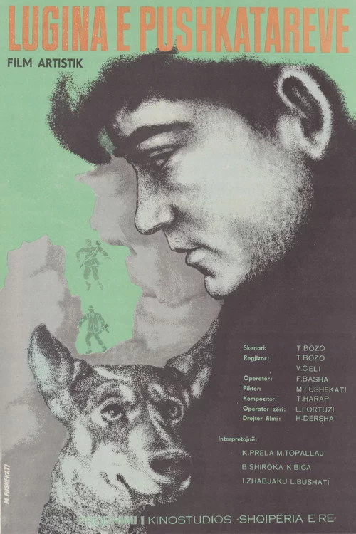 Lugina e pushkatarëve