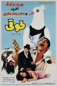 طوقی
