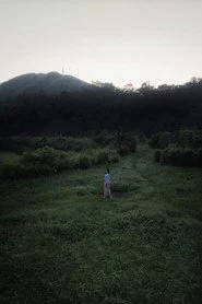 如夢如幻