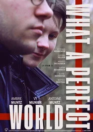 What a Perfect World