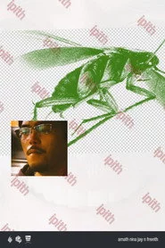 ipith