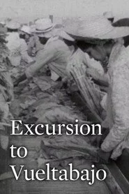 Excursión a Vueltabajo