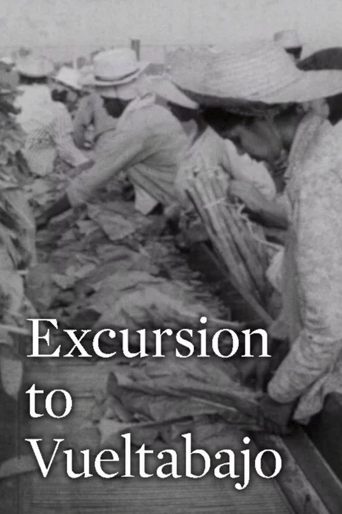 Excursión a Vueltabajo