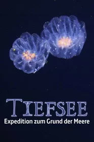 Faszination Tiefsee - Expedition zum Grund der Meere