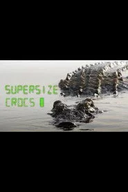 Supersize Crocs - Finding the World's Largest Crocodiles