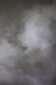 The Ghosts