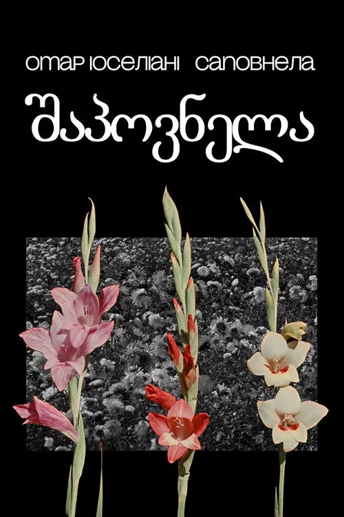 საპოვნელა