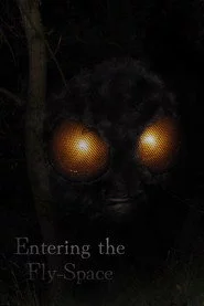 Entering the Fly-Space