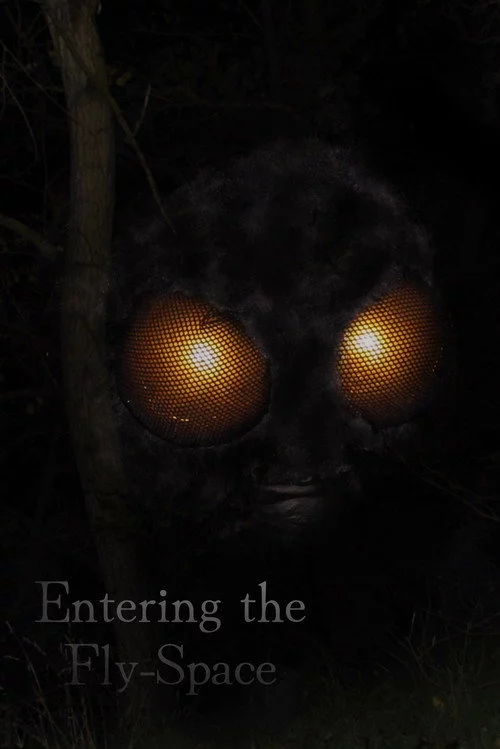 Entering the Fly-Space