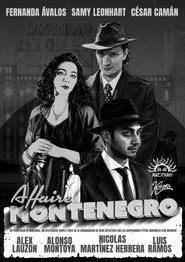 Affaire Montenegro