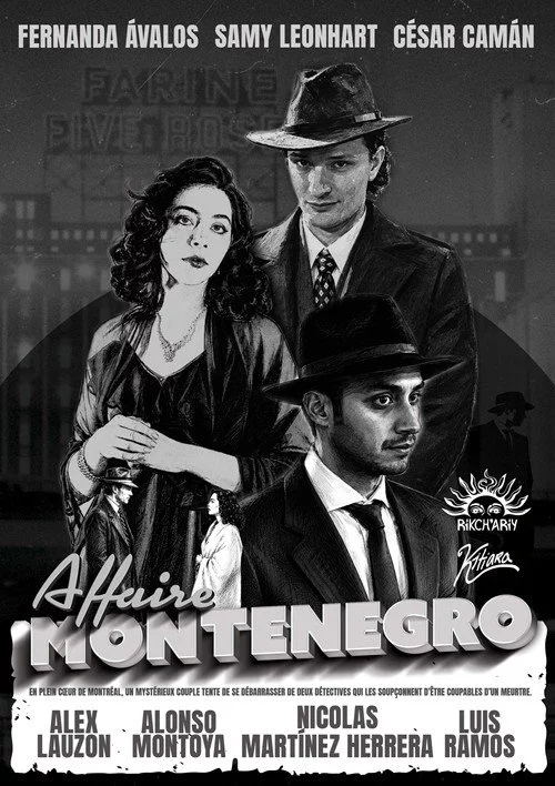 Affaire Montenegro