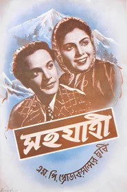 সহযাত্রী