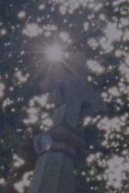 Sacred To The Memory Of