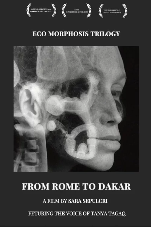 From Rome to Dakar