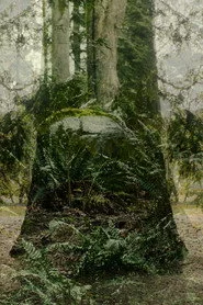 Vertical Remains