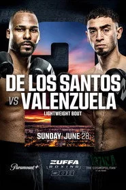 Zuffa Boxing 08