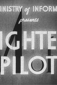 Fighter Pilot