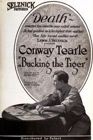 Bucking the Tiger