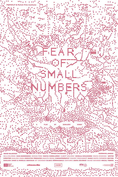 FEAR OF SMALL NUMBERS