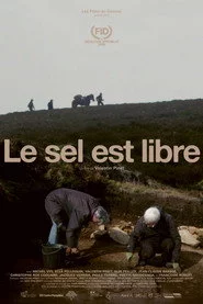 Le sel est libre