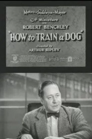 How to Train a Dog