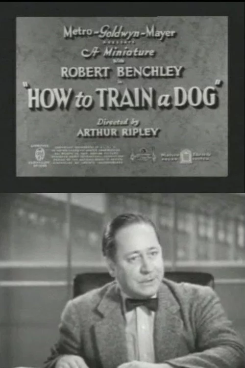 How to Train a Dog